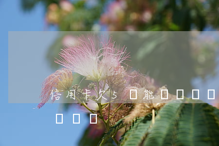 信用卡欠5萬能辦車貸嗎(信用卡欠5萬能辦車貸嗎)