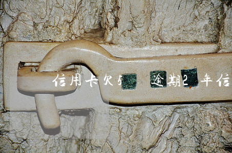 信用卡欠5萬逾期2年(信用卡5萬逾期三年)