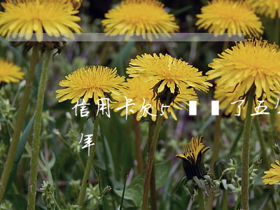 信用卡欠5萬過了五年（信用卡欠5萬過了五年）