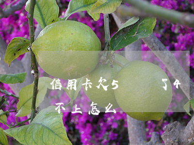信用卡欠5萬還了4萬(欠信用卡五萬暫時還不上怎么辦)