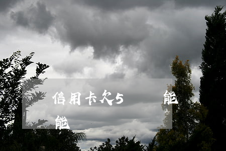 信用卡欠5萬還能辦車貸嗎(網貸欠了5萬還能辦車貸嗎)