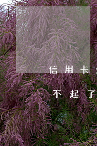 信用卡欠6000一直不還(欠六萬信用卡還不起了怎么辦)