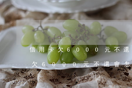信用卡欠6000元不還會怎么樣-信用卡欠6000元不還會怎么樣嗎