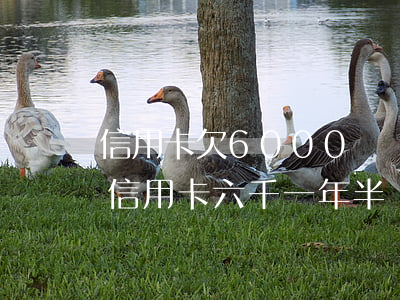 信用卡欠6000塊錢(qián)兩年(欠信用卡六千一年半沒(méi)還)