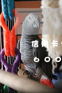 信用卡欠6000沒還收到傳票-信用卡欠6000沒還收到傳票怎么辦