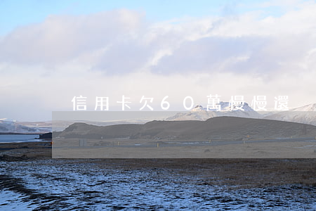 信用卡欠60萬慢慢還