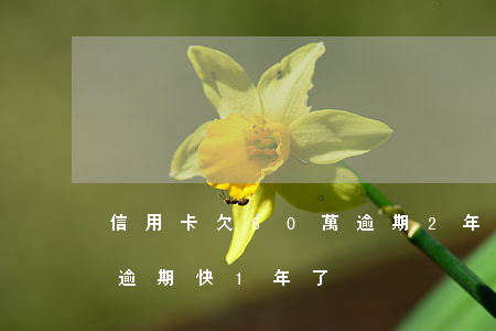信用卡欠60萬逾期2年(信用卡欠了2萬多逾期快1年了)