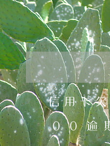 信用卡欠60萬逾期2年(信用卡欠款15000逾期一年多)
