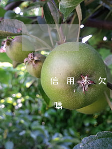 信用卡欠6200元(欠信用卡6千會被起訴嗎)