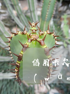 信用卡欠63萬(wàn)(欠信用卡60萬(wàn)判刑案例)