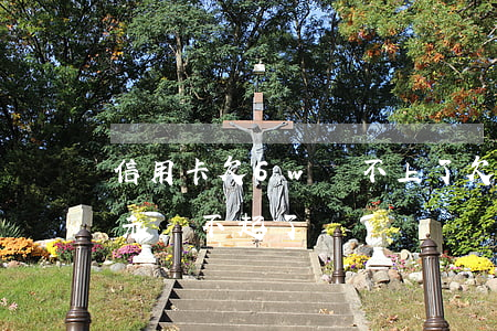 信用卡欠6w還不上了(欠信用卡60000元還不起了)