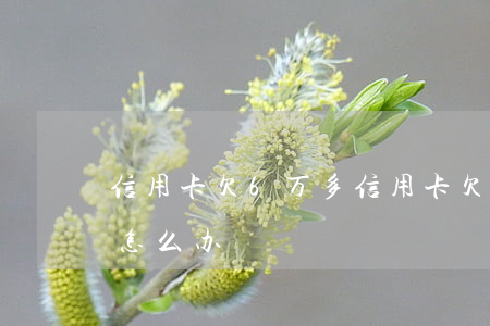 信用卡欠6万多(信用卡欠6万多银行报案了怎么办)