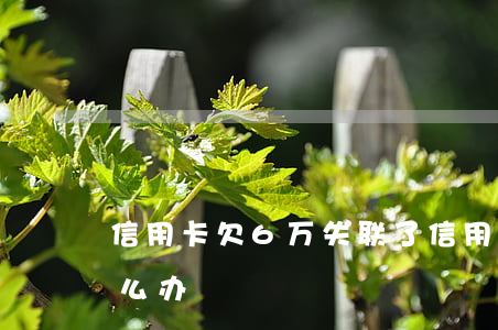 信用卡欠6万失联了(信用卡欠6万失联了怎么办)
