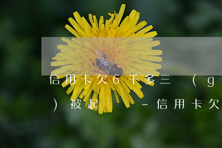 信用卡欠6千多三個(gè)月會(huì)被起訴嗎-信用卡欠6千多三個(gè)月會(huì)被起訴嗎知乎