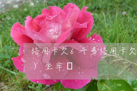 信用卡欠6千多(信用卡欠6千多會(huì)坐牢嗎)