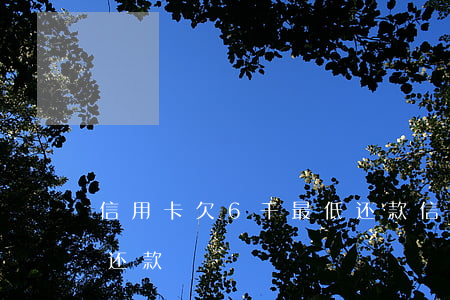 信用卡欠6千最低还款 信用卡6000最低还款