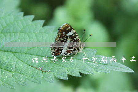 信用卡欠6千逾期两年工商协商-
