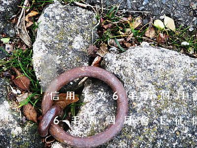信用卡欠6毛五個月會上征信么-信用卡欠6毛五個月會上征信么嗎