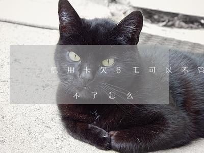 信用卡欠6毛可以不管(如果欠信用卡好多錢,還不了怎么辦)