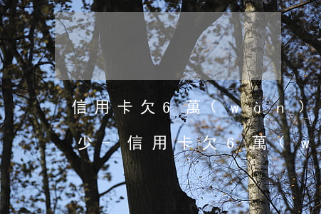 信用卡欠6萬(wàn)每月最低還款是多少-信用卡欠6萬(wàn)每月最低還款是多少錢(qián)