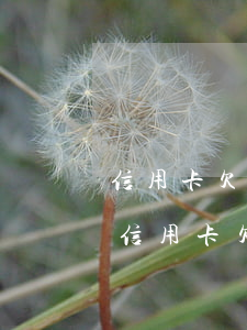 信用卡欠6萬(wàn)無(wú)力還-信用卡欠6萬(wàn)無(wú)力還款怎么辦