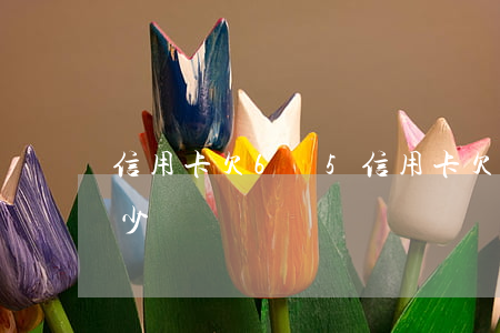 信用卡欠6萬5(信用卡欠6萬一個月利息多少)