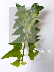 信用卡欠6萬不讓協(xié)商