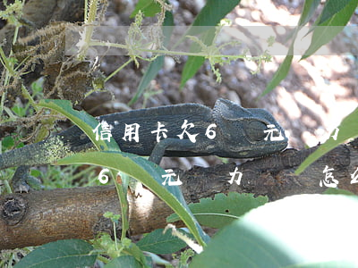 信用卡欠6萬元無力償還怎么辦-信用卡欠6萬元無力償還怎么辦呢