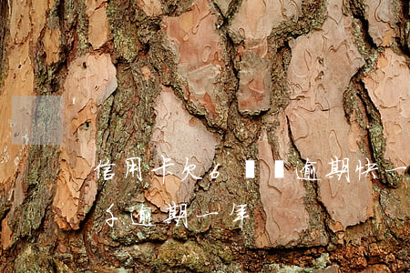 信用卡欠6萬塊逾期快一年了-欠信用卡5千逾期一年