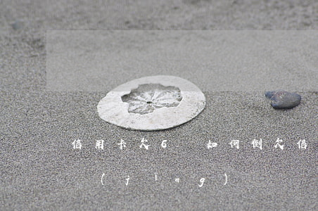 信用卡欠6萬如何倒(欠信用卡6萬坐牢親身經(jīng)歷)
