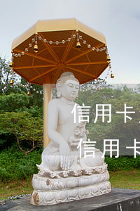 信用卡欠6萬房貸45萬能批嗎(欠了五六萬信用卡該怎么辦)