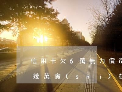 信用卡欠6萬無力償還怎么辦(信用卡欠款十幾萬,實(shí)在無力償還怎么辦)