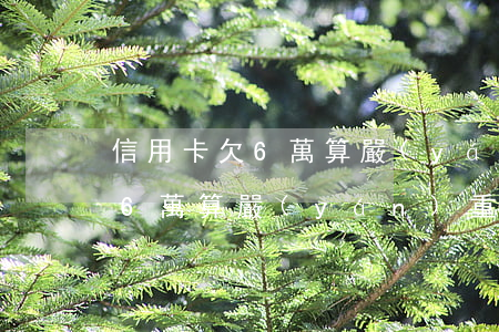 信用卡欠6萬算嚴(yán)重嗎(信用卡欠6萬算嚴(yán)重嗎)
