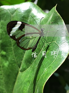 信用卡欠6萬逾期多久會被起訴