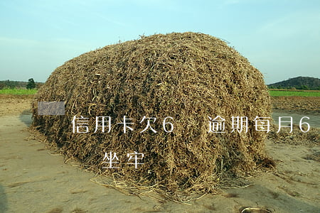 信用卡欠6萬逾期每月(6萬信用卡逾期不還會坐牢嗎)