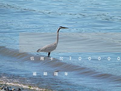 信用卡欠700000-信用卡欠7000逾期兩年