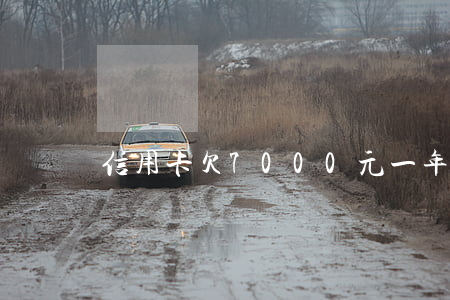 信用卡欠7000元一年多不還-