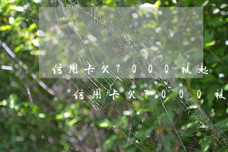 信用卡欠7000被起訴會(huì)坐牢嗎(信用卡欠7000被起訴會(huì)坐牢嗎)