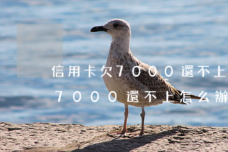 信用卡欠7000還不上怎么辦-信用卡欠7000還不上怎么辦呢