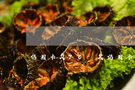 信用卡欠70塊(欠信用卡70萬還不起怎么辦)