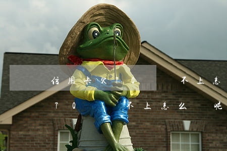 信用卡欠70萬還不上怎么辦呢-信用卡欠70萬還不上怎么辦呢