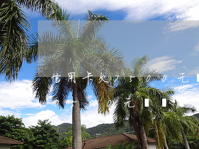 信用卡欠7500元沒還會怎樣-信用卡欠7500元沒還會怎樣處理