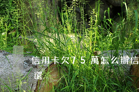 信用卡欠75萬怎么辦(信用卡70萬無力償還)