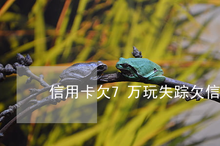 信用卡欠7万玩失踪(欠信用卡七万)