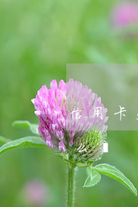 信用卡欠7個月(欠信用卡幾個月沒還了會怎么樣)