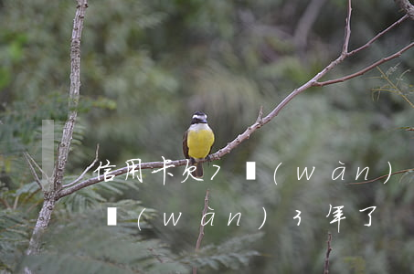 信用卡欠7萬(wàn)3年了(信用卡欠7萬(wàn)3年了)
