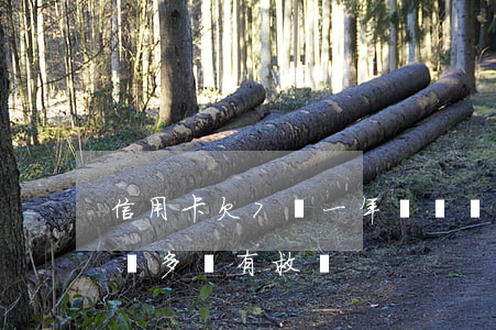 信用卡欠7萬一年沒還會怎樣(信用卡欠了七萬多還有救嗎)