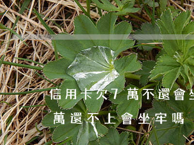 信用卡欠7萬不還會坐牢嗎(欠銀行信用卡七萬還不上會坐牢嗎)