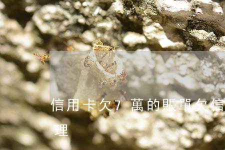 信用卡欠7萬的賬單(欠信用卡7萬怎么還合理)
