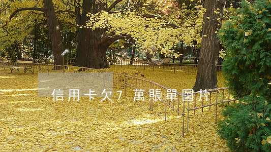 信用卡欠7萬賬單圖片